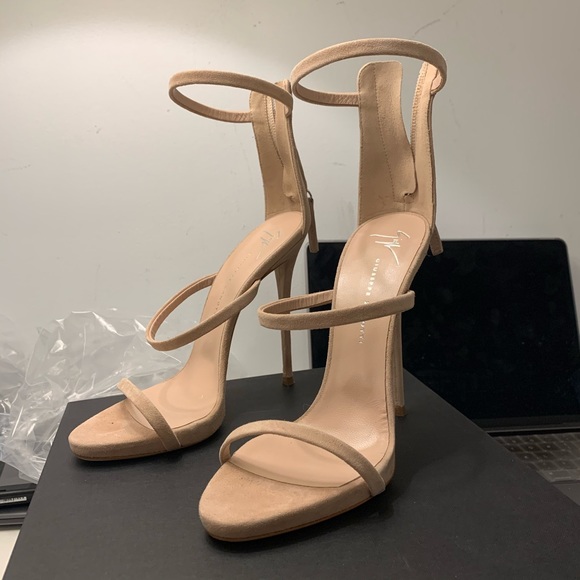 zanotti harmony